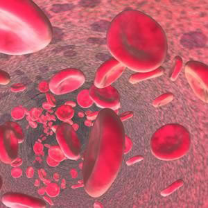 Red Blood Cells